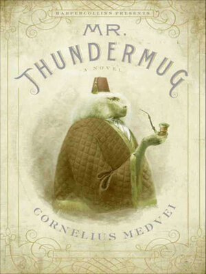 cover image of Mr. Thundermug